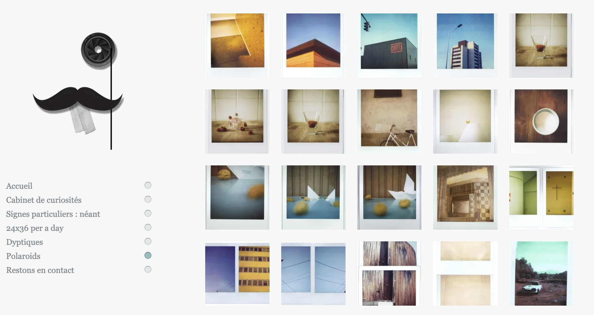 Zinzi Colonna Portfolio Zinzi Colonna Portfolio